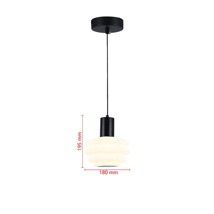 Black Pendant Light